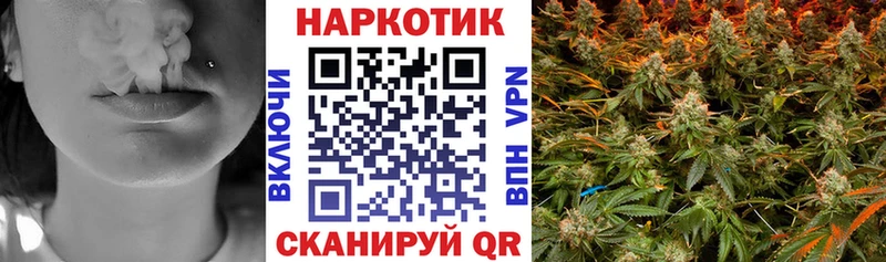 Галлюциногенные грибы Вологда