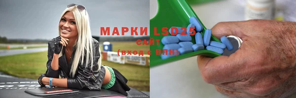стаф Дмитриев