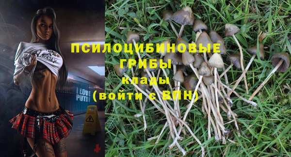мяу мяу мука Дмитров