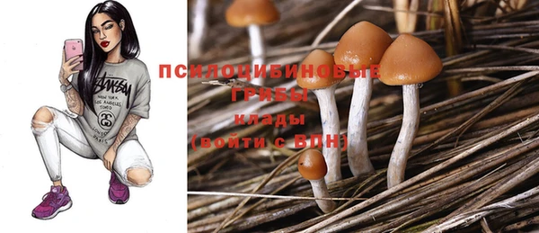 мяу мяу мука Дмитров