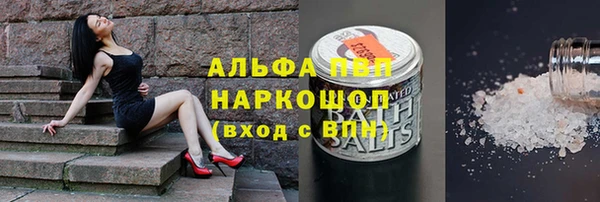 стаф Дмитриев