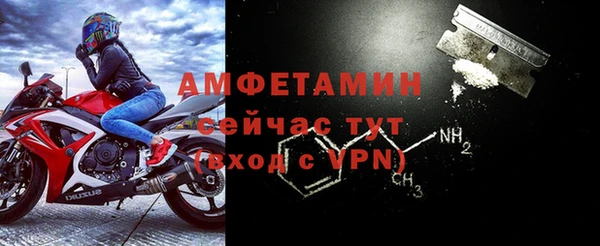 стаф Дмитриев