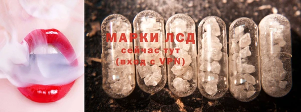 стаф Дмитриев