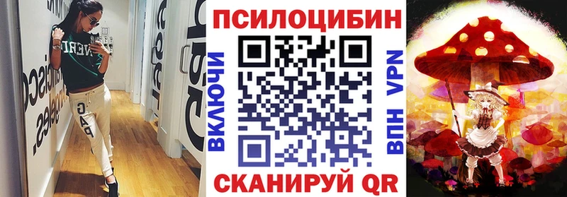 Галлюциногенные грибы MAGIC MUSHROOMS  цена   Вологда 
