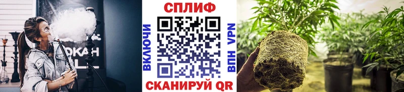Каннабис MAZAR  сайты даркнета телеграм  Вологда 